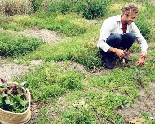 river-cottage5